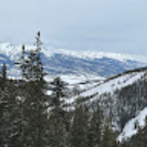 Meet your Posher, Desiree